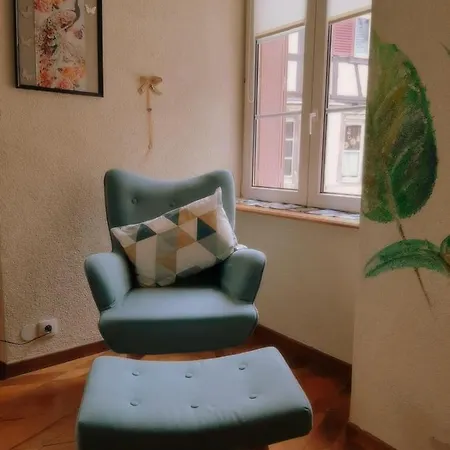 Appartement N¨°1 Schongauer De Charme Centre Touristique *