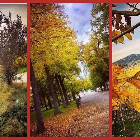Διαμέρισμα N¨°1 Schongauer De Charme Centre Touristique *